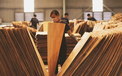  Một ngành Việt Nam vừa lập kỷ lục mới: 